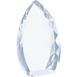 Altitude Trident Award Unbranded Angle
